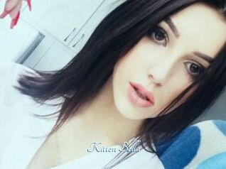 Kitten_Bella