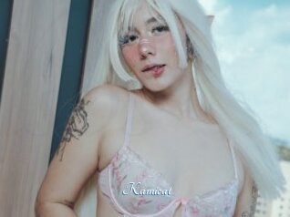 Kamicat