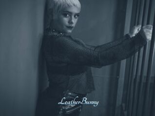 LeatherBunny