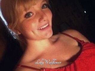LillyWallflower