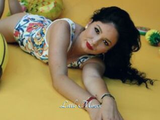 Little_Minxx