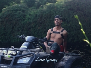 Latin_bigcrazy
