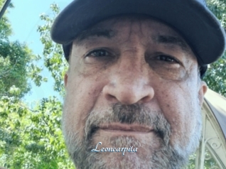 Leoncarpita
