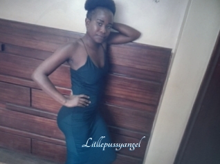 Litllepussyangel