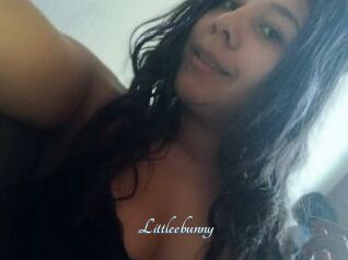 Littleebunny