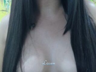 Lizcam