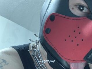 Logan_pup