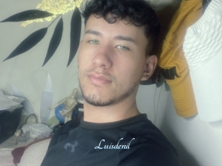 Luisdenil