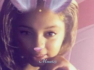 Mswet23
