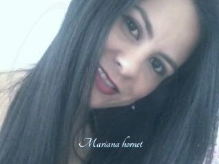 Mariana_hornet