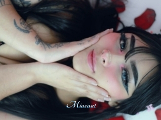 Miacaat