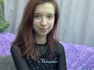 Minamiler