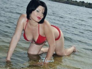 Missnet