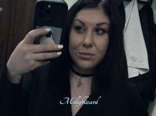 Mollyblizard