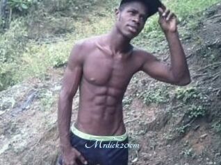 Mrdick20cm