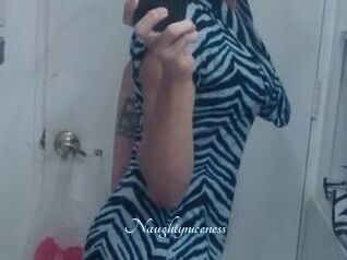 Naughtyniceness