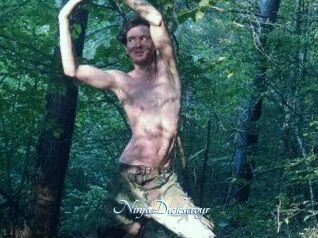 NinjaDickstroyr