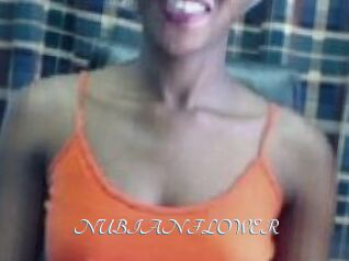 _NUBIAN_FLOWER_