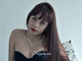 Nellylotcams