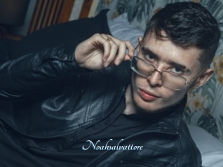 Noahsalvattore