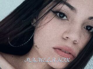 PAMELA_HTX