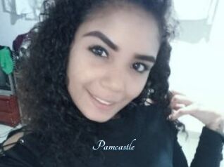 Pamcastle
