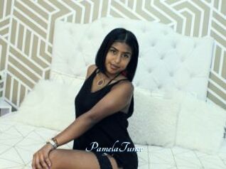 PamelaTuner