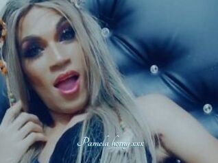 Pamela_horny_xxx