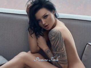Pantera_Flash