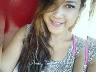 PetiteAsianSexDoll