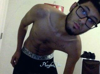 PlayfulJoe