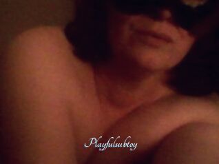Playfulsubtoy