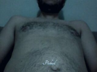 Pedwil