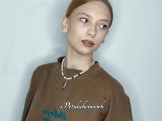 Petulaheimweh