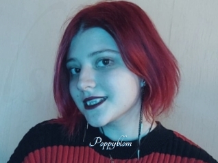 Poppyblom