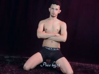 Price_big23