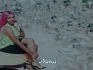 Princess23