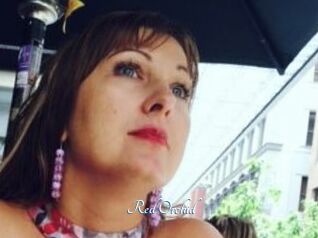 Red_Orchid
