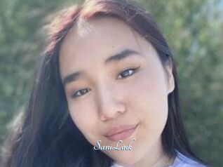 SaniLink