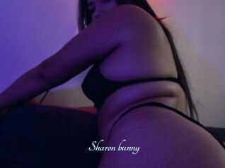 Sharon_bunny