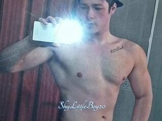 ShyLittleBoy20