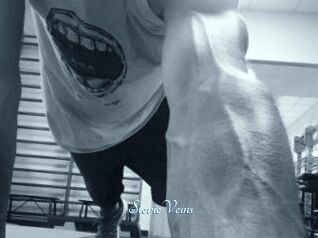 StevieVeins