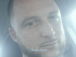 Stroke_of_penis