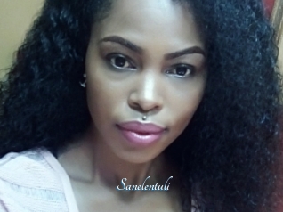 Sanelentuli