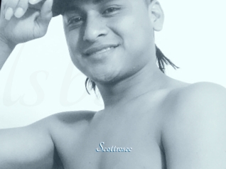 Scottrosee