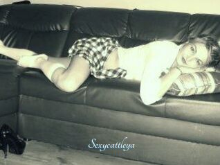 Sexycattleya