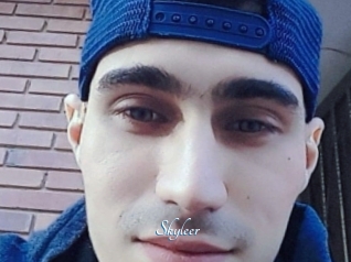 Skyleer