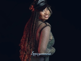 Sppicyammelia