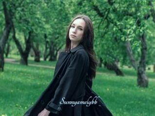 Sunnyamelybb