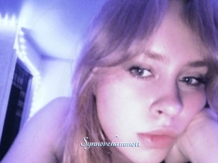 Synnovehammett